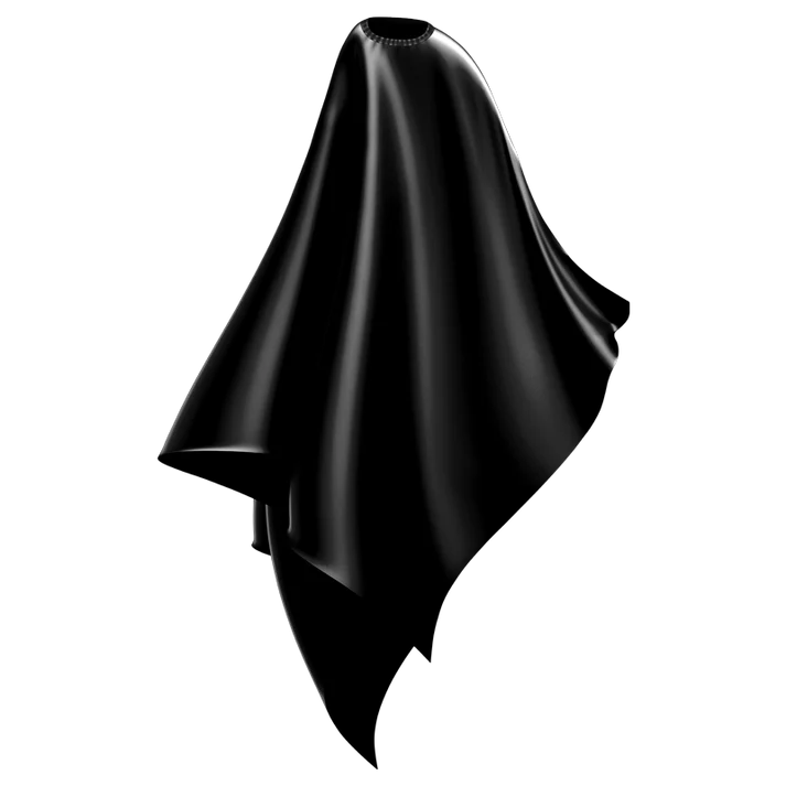 Wahl — Wahl Polyester Cape- Black WP3012